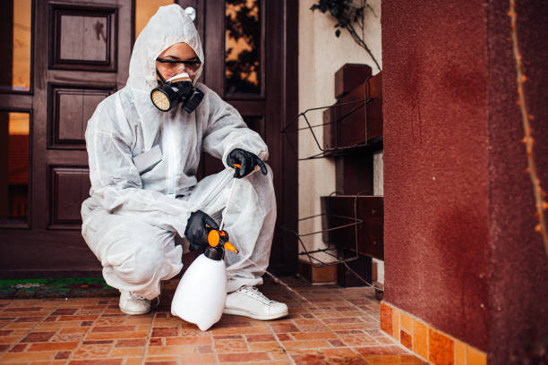Reliable Wasp Removal contractor in Napoleon, OH by Show Me Pest Control